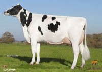 HANAP - Prim'Holstein