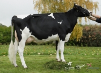 AVIC SHO - Prim'Holstein