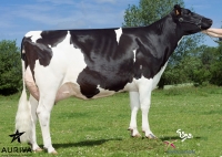 DACTYL ISY - Prim'Holstein