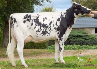 GUIOMAR - Prim'Holstein