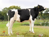 FINGER - Prim'Holstein