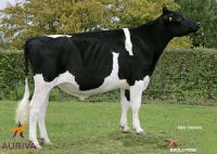FUMPOO ISY - Prim'Holstein